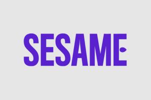 Sesame online therapy review 2024, researched by experts