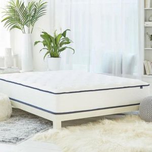 the winkbeds gravity lux mattress in a bright bedroom with plants