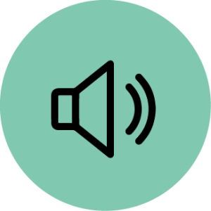 FI Direct Audio Input icon