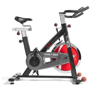 the sunny health and fitness stationary exercise bike on white background