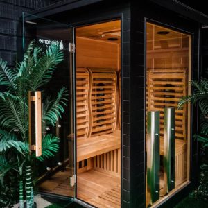 an indoor, closeup shot of a Sun Home Luminar Infrared two-person sauna, next to two small palm plants