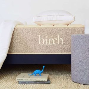 Close-up of a mattress with a white pillow on top and the word "birch" prominently displayed on the mattress side. Below the mattress, two books and a small blue dinosaur figure are placed on a woven rug.