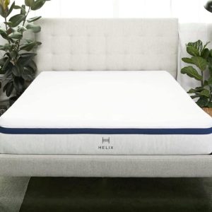 A bed with a white mattress featuring a dark blue stripe, placed in a light-colored room with a tufted headboard and green plants nearby.